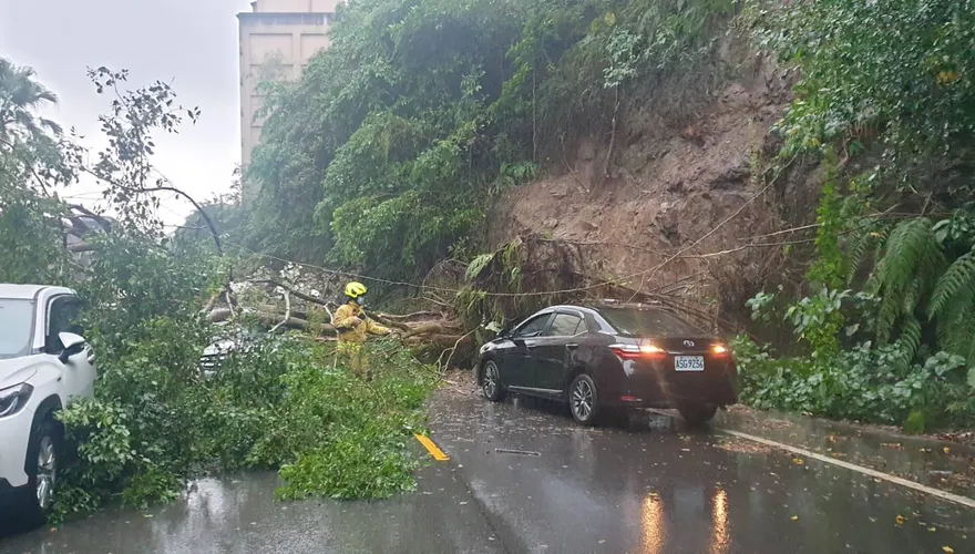 基隆大雨釀災！樹倒、土石崩落　壓毀多輛汽車