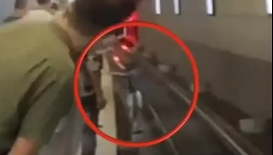 高雄火車站昨驚傳「落軌」　民眾疑似為了撿手機自行跳下　影片曝光警方說話了