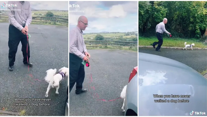 首次遛狗卻被遛！菜鳥「慌張神情＋滑稽小跑」飼主笑翻：到底誰遛誰啦？