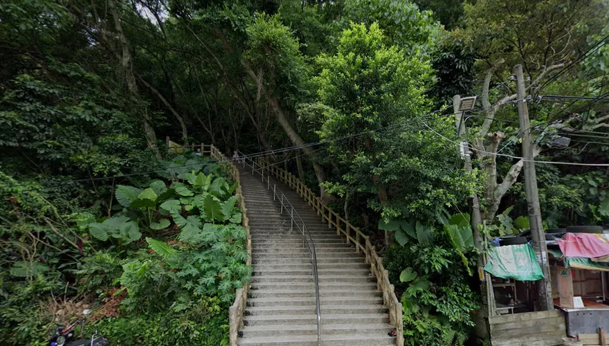快訊/新莊青年公園虎頭蜂現蹤！3除草工人慘遭螫傷　公園安全陷危機