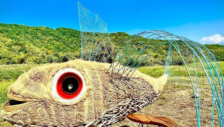 國慶連假遊花蓮！「等待飛魚」巨型裝置藝術等你來打卡