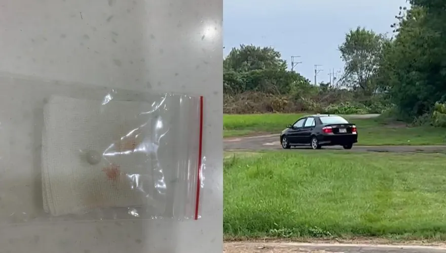高雄男「持BB槍射狗」還飆車撞人！原因竟是模型被咬　網氣炸：不會射自己嗎