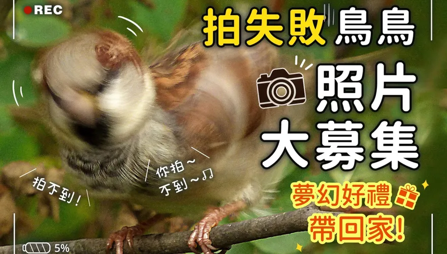 「野鳥爆笑NG照」曝光！林務局徵「失敗鳥照片」　夢幻好禮大放送