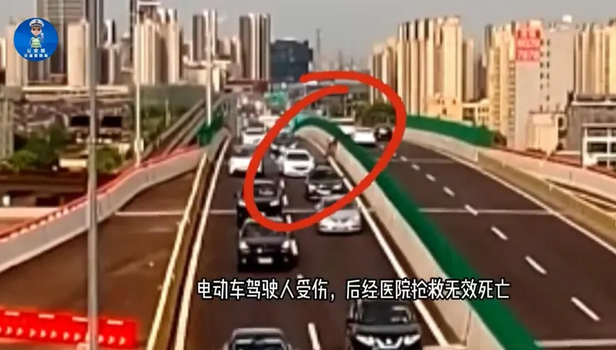 單車逆上高架「慘被迎面撞噴」！甩飛半空落地遭輾斃　奪命白車「謀殺式衝撞」畫面曝