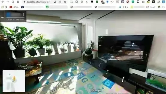 質疑谷歌地圖侵犯隱私　韓國老人：我家客廳被看光了