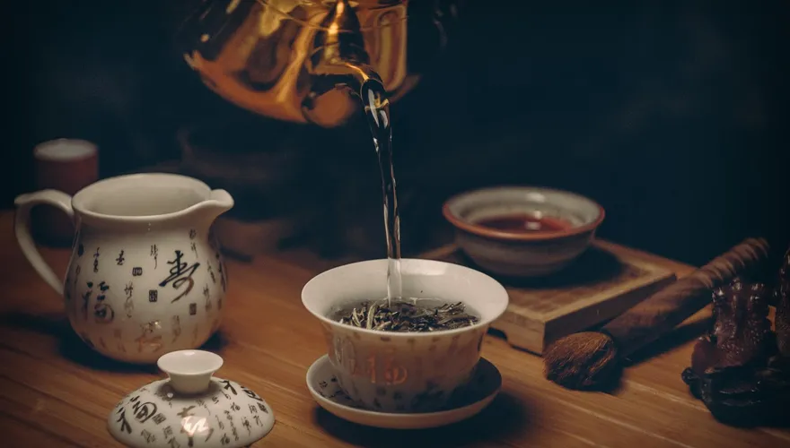 喝茶養生！　中醫教看發酵、烘焙　為自己選一杯好茶！