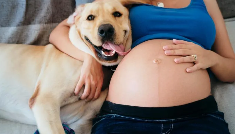 孕婦養毛小孩能預防寶寶過敏？專家曝毛孩定期做「1件事」可預防！