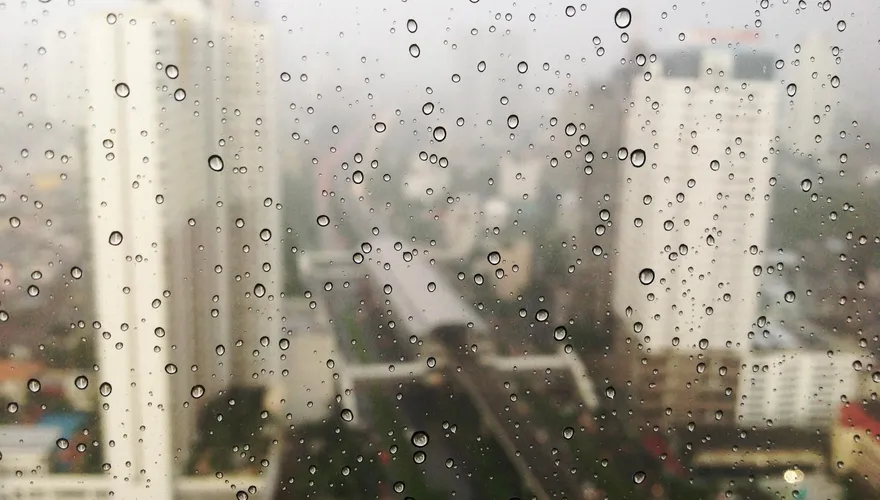 狂下雨變「溼氣苦主」　中醫師建議「利水祛濕」食物去溼氣