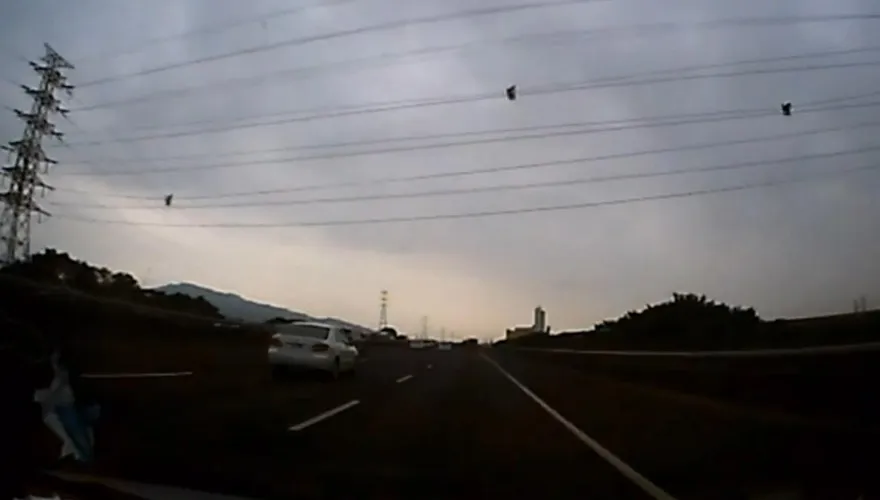 懸掛高速公路半空！他去高雄驚見「蜘蛛人」電纜上狂滑　　網嚇傻：太刺激了…