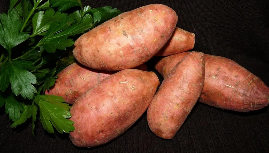 地瓜煮蒸烤都美味！農糧署教3步驟做「甘藷醬」營養滿點又防癌！
