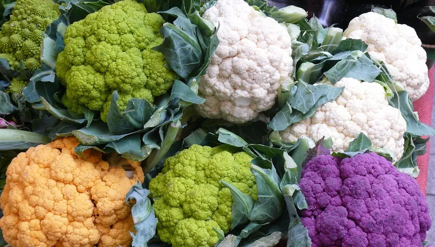 超強「綠色」養身蔬菜！醫曝可改善便秘、預防癌症