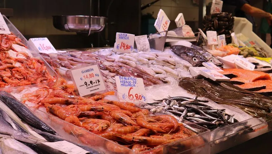 如何挑選好的海產？食藥署教你記下「這5點」讓你聰明買　快樂吃！