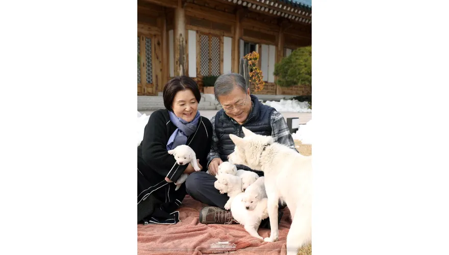 金正恩贈送的小狗誰負責養？南韓前總統文在寅摃上內政部