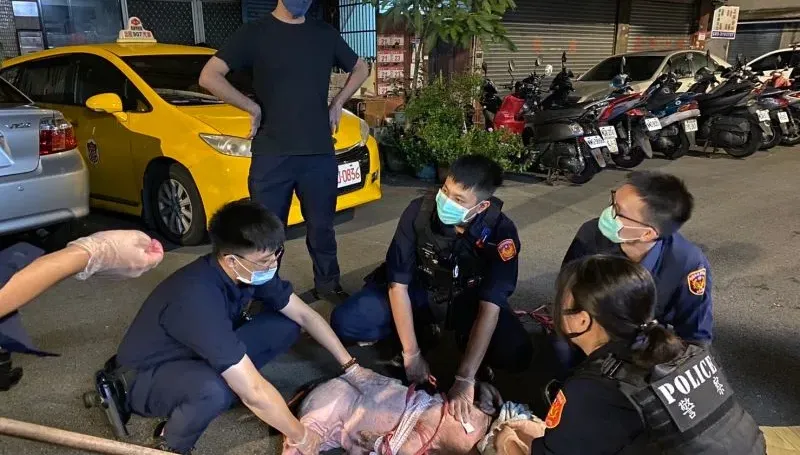 半夜驚見浪浪豬蹺家嚄嚄叫！　桃園警民2小時人豬大戰贏了