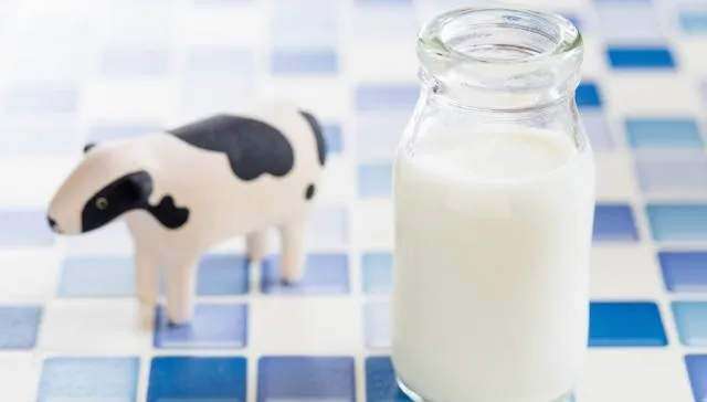 優酪乳比牛奶「優」？營養師揭「3大優點」