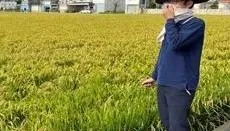 扮工人農夫與失聯移工大車拚！移民官萬聖節「cosplay」查案苦哈哈
