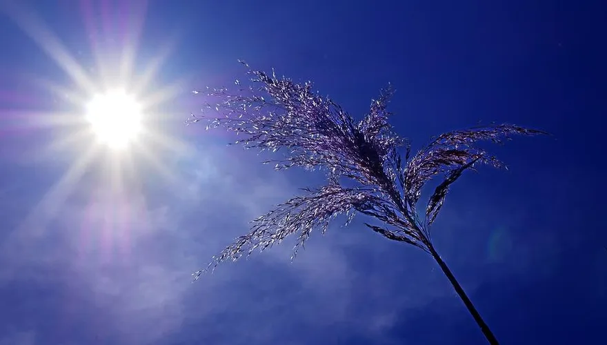 夏天太熱真傷腦筋！重症醫曝可怕下場　研究：別曬超過2小時