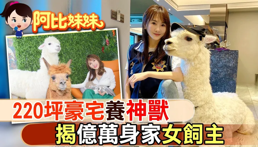 萌到讓阿比尖叫！220坪豪宅養萌獸羊駝　揭億萬身家女飼主