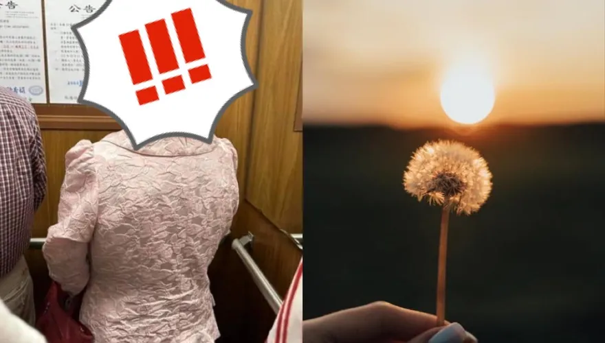 「蒲公英」髮型超吸睛！　網讚嘆：求髮型師大名