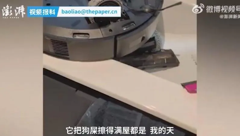 砸2萬買掃地機器人！開這功能「整屋都狗大便」6hrs才清好　網罵翻：怪誰？