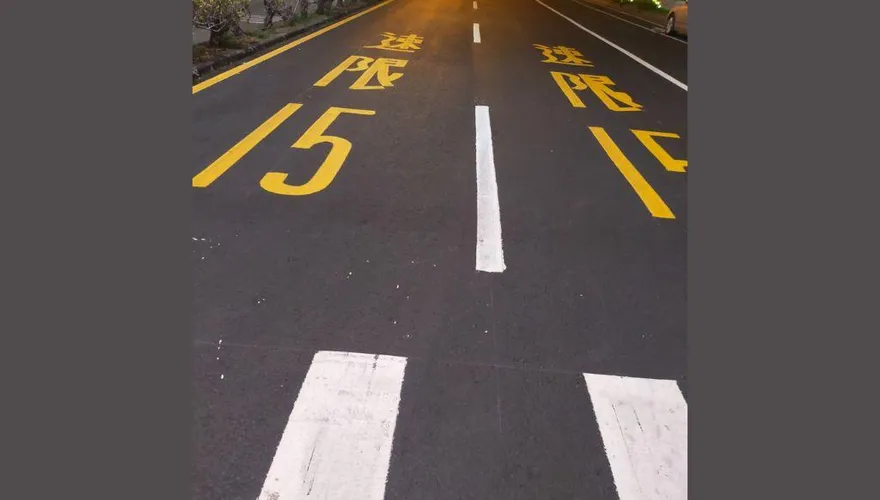 老人專用車道？高雄1路段「速限15公里」！網看傻：坐輪椅都超速