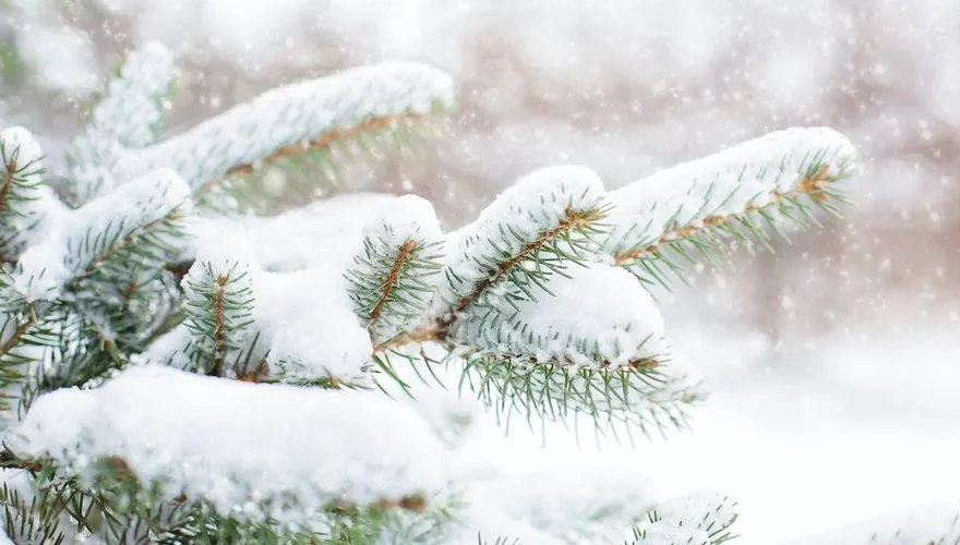 小雪6大禁忌勿觸犯！命理師點名2種人要注意沖煞