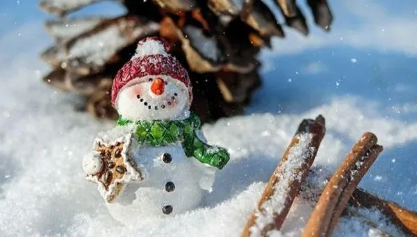 「大雪」要來了！命理師曝：5生肖有如神助　事業、財運旺翻天