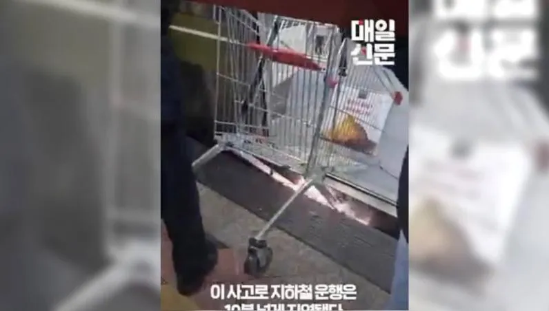 【影】南韓老婦手推車卡地鐵縫隙冒火花　眾人幫解圍她只顧撿菜