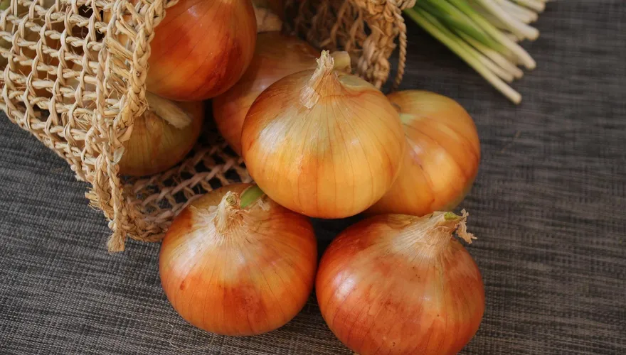 超級食物「洋蔥」！醫「高密度營養」防癌、排毒、護心、抗氧化！