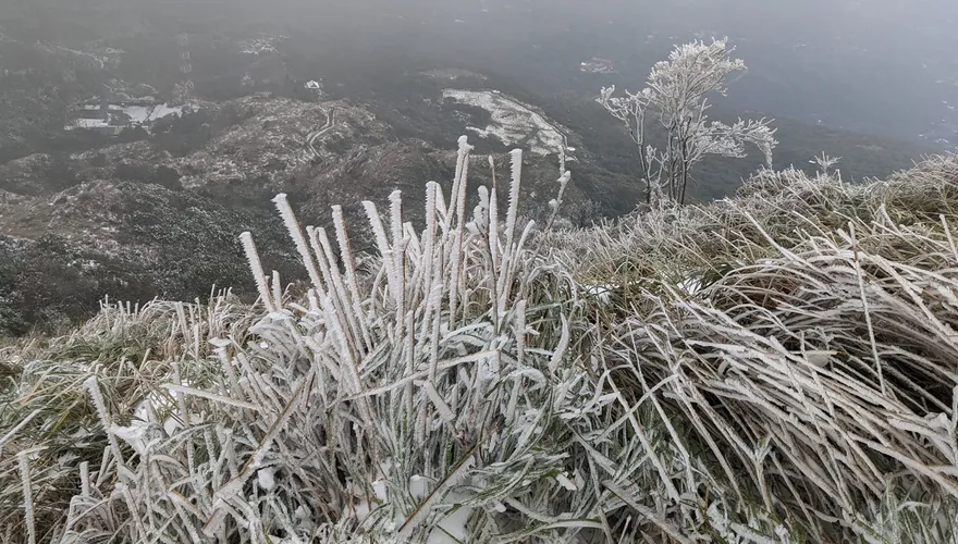 雪仗開打！寒流周末報到陽明山恐探0°C　「回暖時間點」出爐