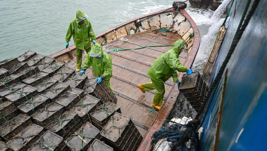 陸入境再鬆綁？漳州：漁船民比照「海外入境人員」 12/19起「2+3」、明年1/9起「0+3」