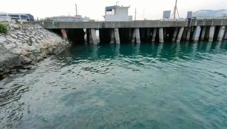 「雙手捆綁背啞鈴石頭」！高雄旗津海面竟漂詭異無名屍！