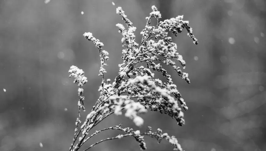 追雪族必備1物品！以防上高山有「嘔吐」症狀時 24小時內恐致死!