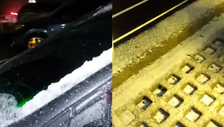 合歡山下雪了！武嶺一夜「銀白」　追雪族嗨翻了