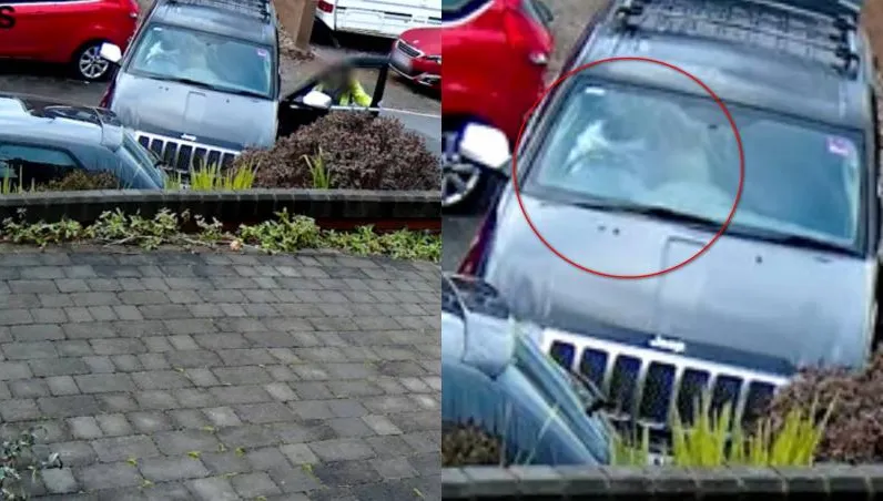 英國離奇車禍！吉普車莫名撞擊路邊車輛　天兵駕駛竟是一隻狗