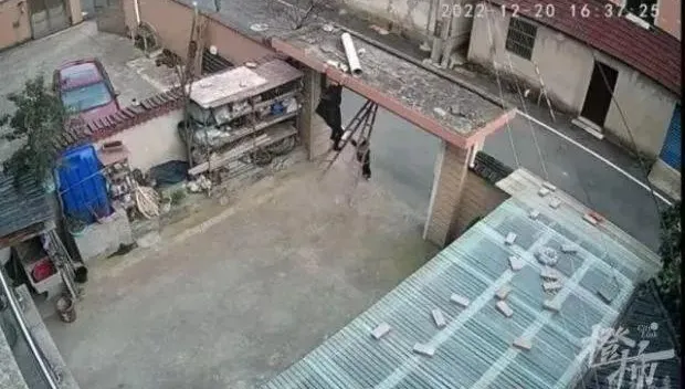 【影】奶奶碰倒梯子懸半空中　4歲孫急喊「我拿不起來」...終使出「洪荒之力」扶梯救下