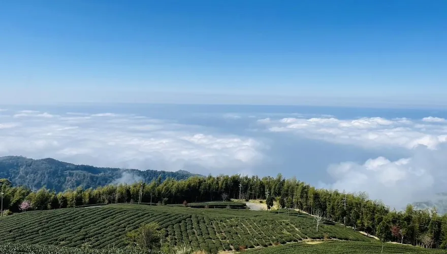 雲林私藏秘境大公開！　這些地方只有內行知