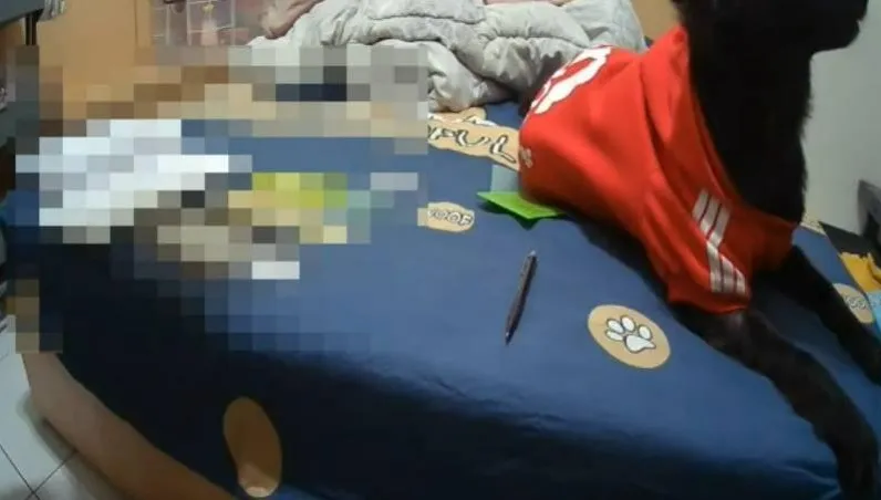 缺錢男大生慘淪詐騙集團車手被逮！　心酸向愛犬告別：等爸爸回來