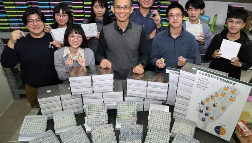 白蟻品種揭密！興大教授：台灣南北大不同　邀民眾「抓蟲」採樣本
