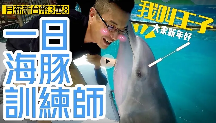 【中天車享家】一日海豚訓練師！海豚天天相伴「月薪38K」　揭密夢幻工作