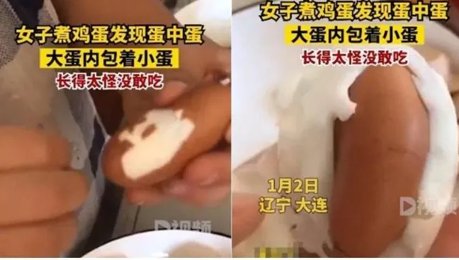 母雞受驚生「怪蛋」陸女嚇得丟掉　專家親揭：因「這現象」不影響食用！