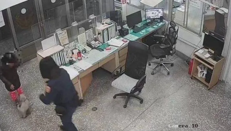 走失小狗路邊瑟瑟發抖！暖心警臉書幫PO協尋啟事　幫馬爾濟斯找到回家路