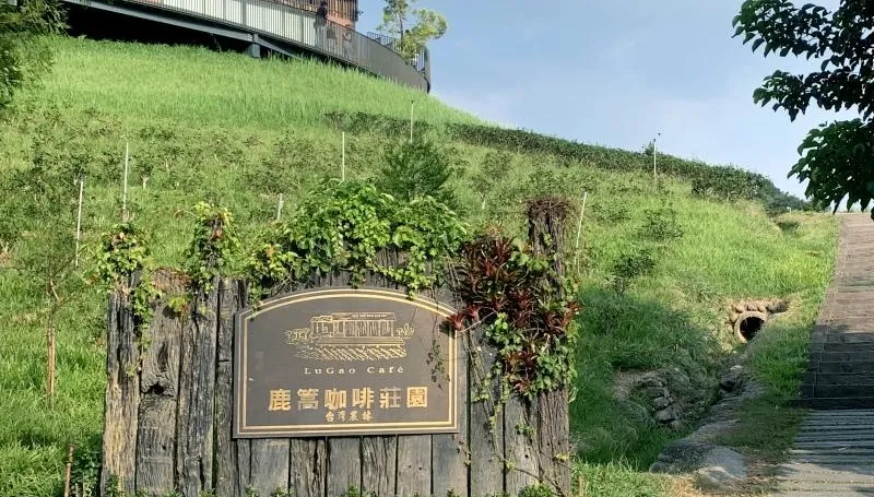渡假首選！南投3大「絕美咖啡館」曝光　躲進莊園遠離塵囂