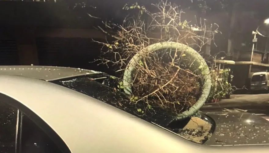 影/超大花盆直接「插」進後車窗！要求幫喬事遭拒又在談判時險擦撞　板橋6煞狠砸車