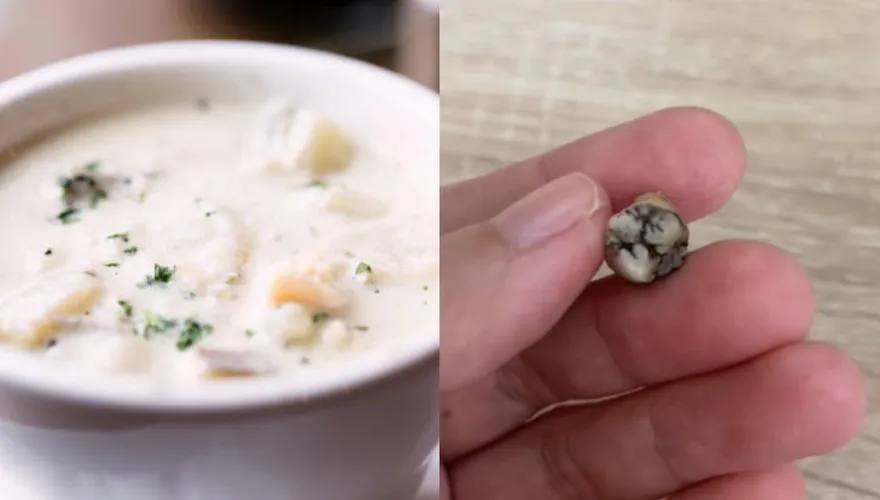 噁！好市多蛤蜊濃湯「喝到發黑牙齒」…一票牙醫現身解釋：不是人的