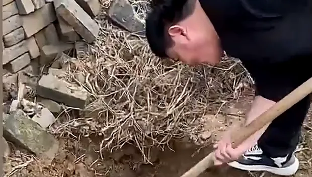 男子埋酒許願竟「成空」　浪漫舉動卻遺漏細節網笑翻：埋了個寂寞！