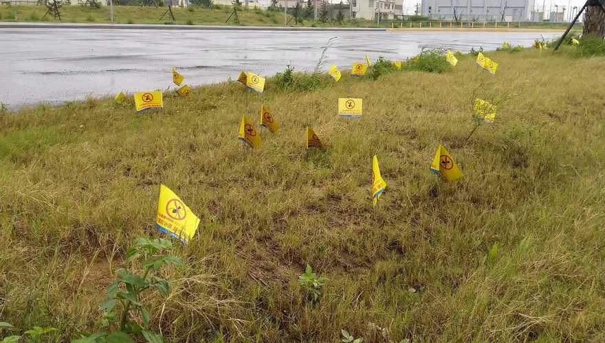 新竹又驚爆大秘寶！教練2原因不敢用 網瞬間暴動飆罵民進黨