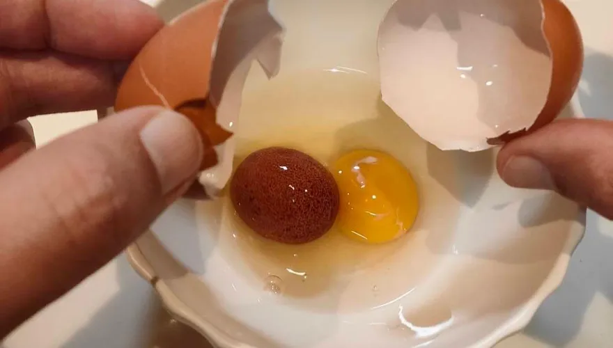 驚喜在身邊！日本僧侶做飯開出稀有「蛋中蛋」　網驚奇：好事要來了