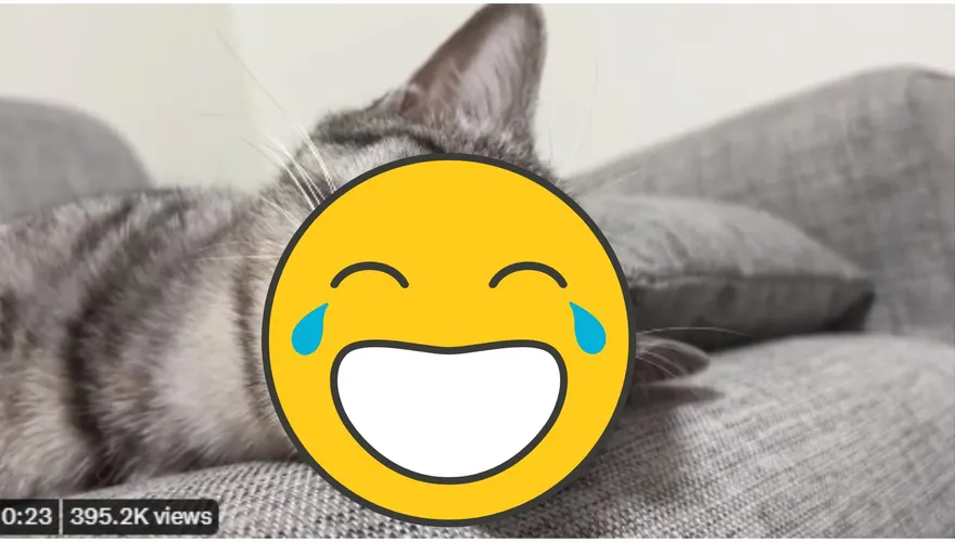 影/米克斯靈魂出竅「白眼＋吐舌」飼主調戲舌頭無果嚇到！下秒…喵：偶只是睡著啦