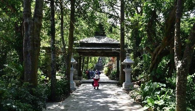春節走春/台北尋龍之旅！圓山日夜美景一覽無遺　指南山祈福兼賞櫻